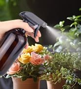 Glass Spray Bottle