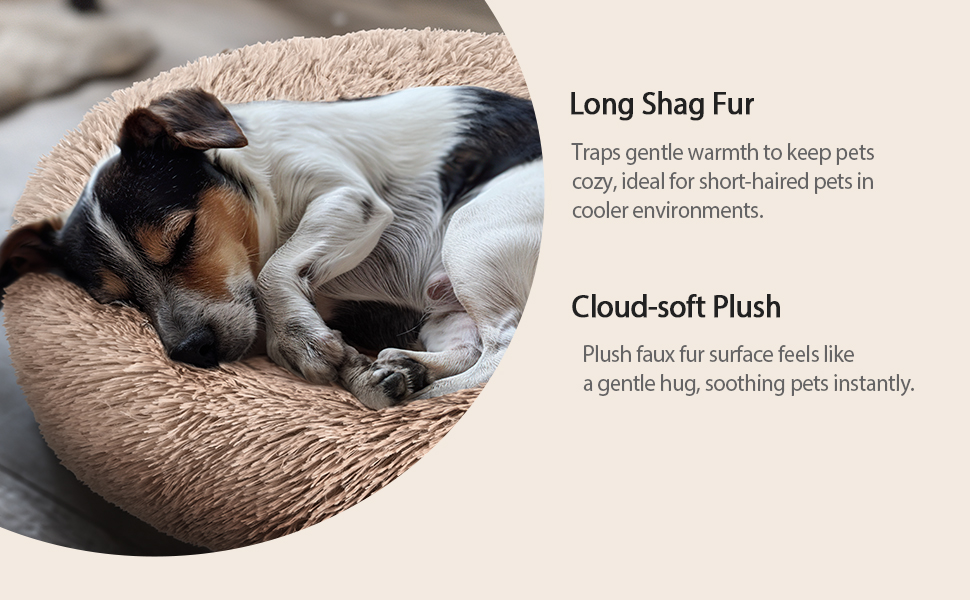 dog bed