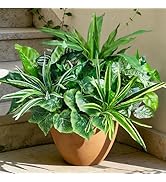 Artificial Plants for Outdoors Faux Greenery Leaves UV Resistant Realistic Plastic Large Bunches ...