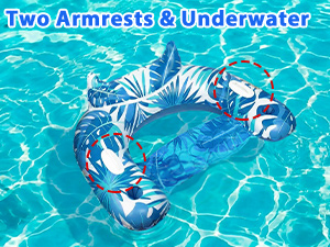 pool float chair