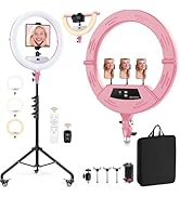 22" Foldable Ring Light with Stand for iPhone ipad, 75" Tripod with Wheels 50W 6500K LED Display/...