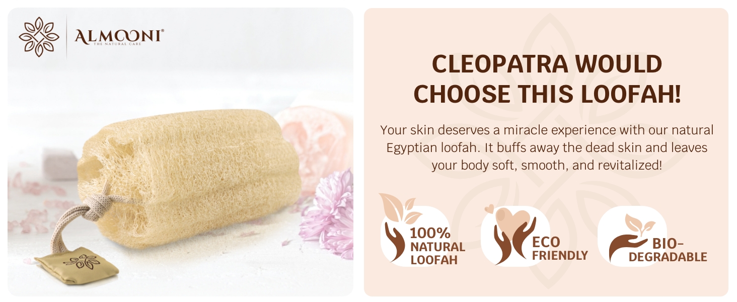 Loofah Sponge