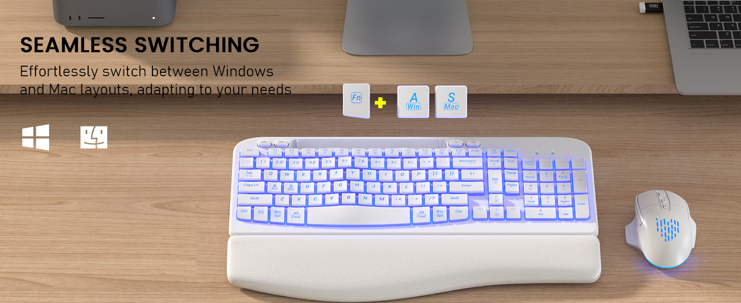 Win & Mac Layout