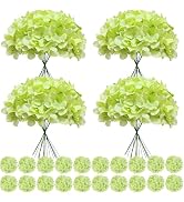 Cherica 100 Pcs Faux Green Hydrangea Artificial Flowers Bulk, Fake Silk Hydrangea Flowers Heads w...