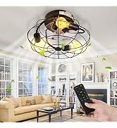 E ENERGETIC LIGHTING 16" Caged Low Profile Ceiling Fan with Lights Remote Control, 6 Speeds Adjus...