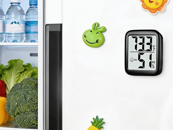 thermometer and humidity gauge
