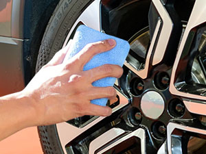 tire shine applicator
