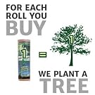 tree planting