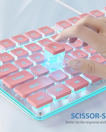 https://m.media-amazon.com/images/S/aplus-media-library-service-media/4d19e2cd-4800-4b92-a4db-8ed68e085c89.__CR0,0,1598,2000_PT0_SX362_V1___.jpg