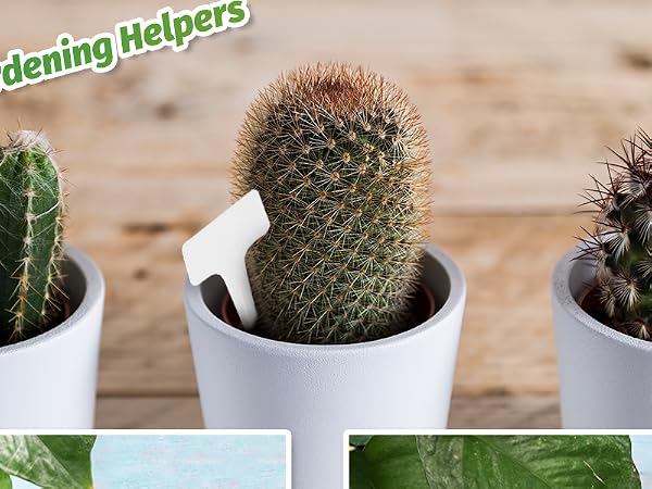 100 Pcs Plastic Plant Labels