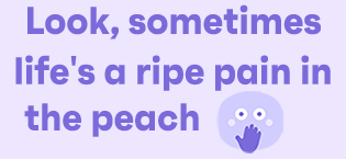 https://m.media-amazon.com/images/S/aplus-media-library-service-media/44855bf5-7a95-4737-b6a3-22b5afa18b27.__CR0,0,315,145_PT0_SX315_V1___.jpg