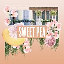 N7 sweet pea
