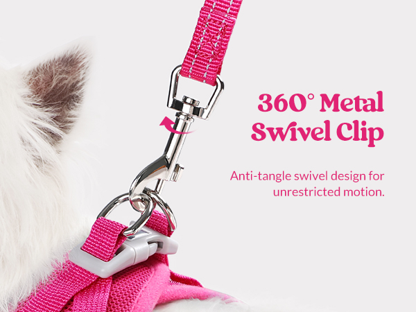 dog harness and leash set
