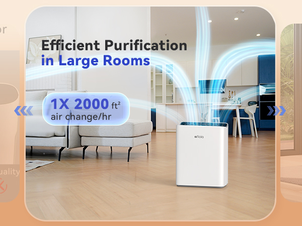 air purifiers for home large room