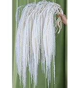 Natural Dried Wisteria Hanging Flowers