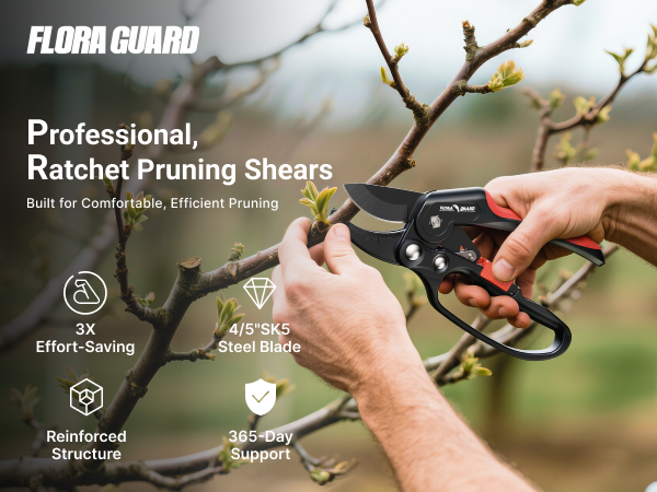 garden shear