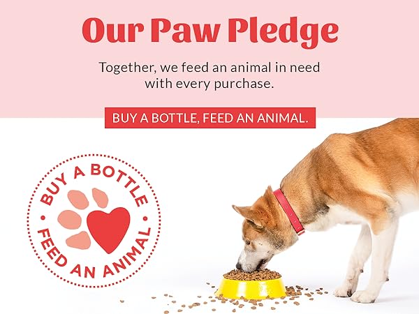 Paw Pledge