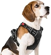 rabbitgoo Dog Harness Medium Sized, No Pull Pet Harness with 3 Buckles, Adjustable Soft Padded Do...