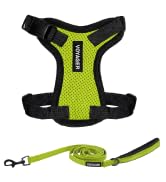 Best Pet Supplies Voyager Step-in Lock Pet Harness w Reflective Pet Leash Combo Set with Neoprene...