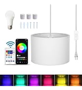 ZSLAIFU 15FT Hanging lamp with Switch,White Hanging Lights with Plug in Cord, Pendant Lamp with R...