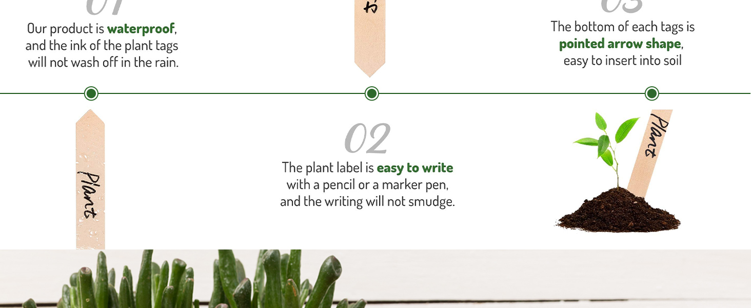 WH0434 50Pcs Wooden Plant Labels