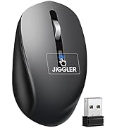 Covert Mouse Jiggler,2 in 1 Wireless Mouse with Jiggler, Undetectable M...