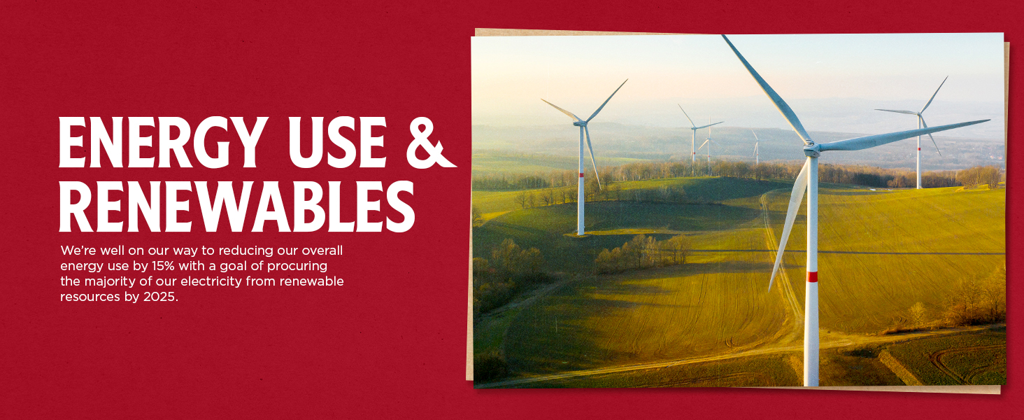 Energy Use and Renewables