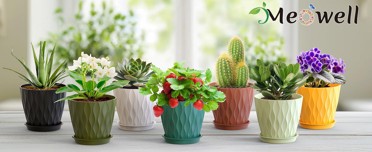 plant pots