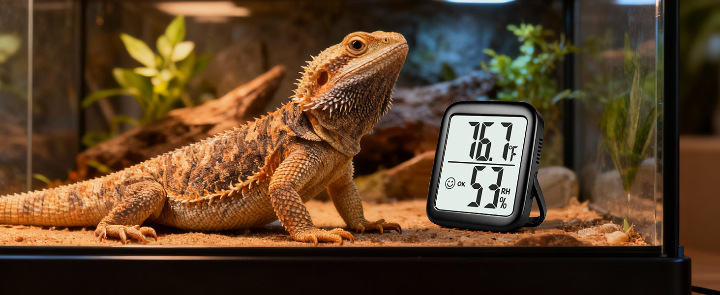 room temperature monitor