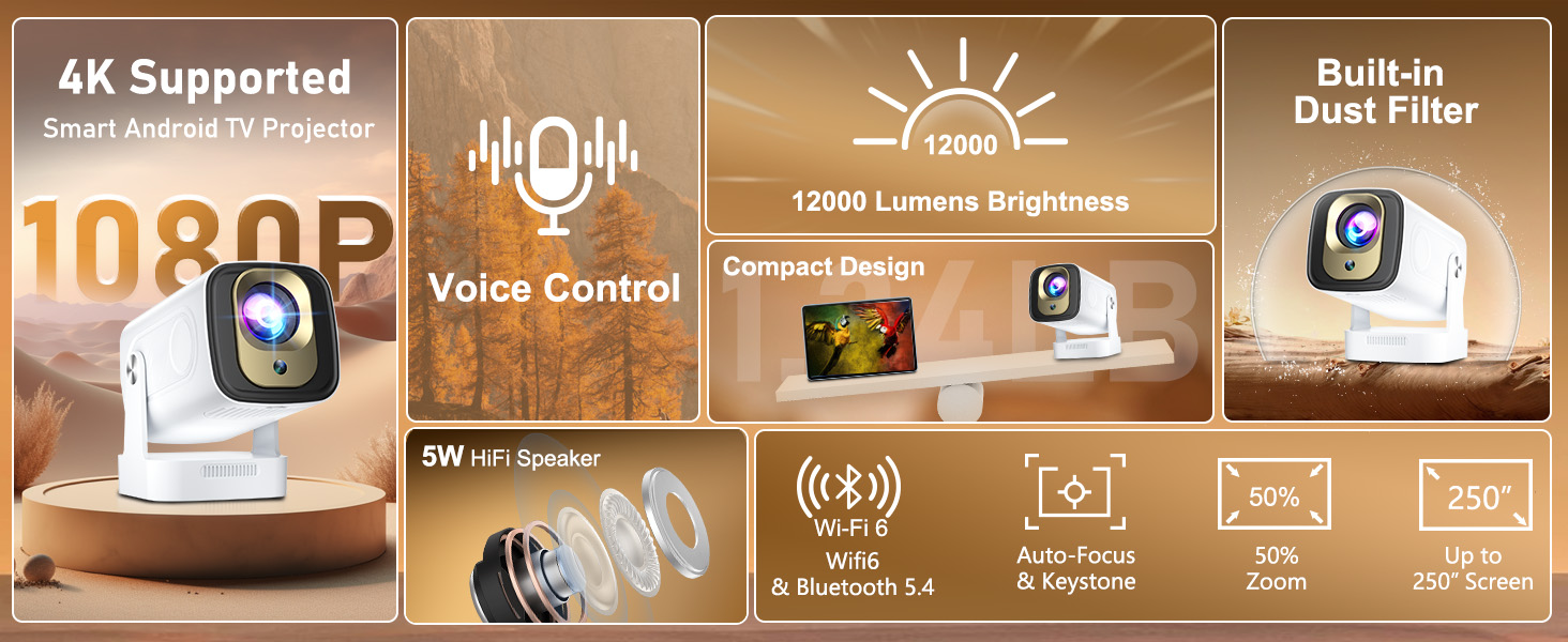 mini projector