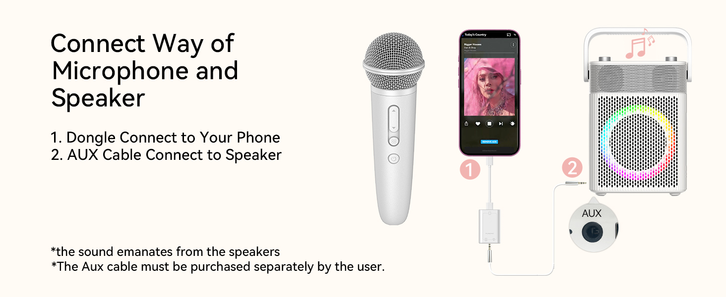 microphone with earphone
