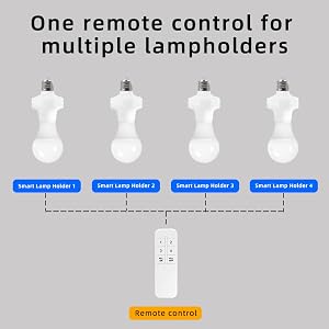 one control for multiple lampholders