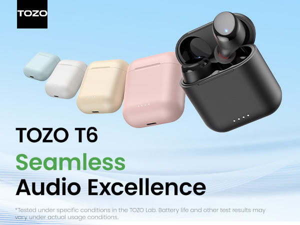 T6 wireless Earbuds