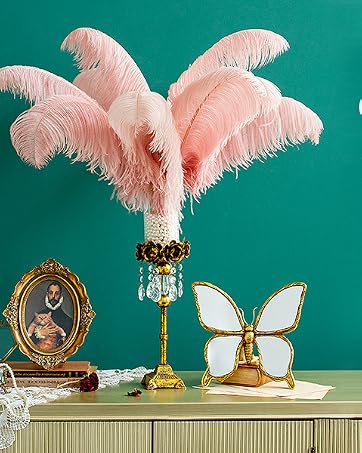 iHUFeather Ostrich Feathers
