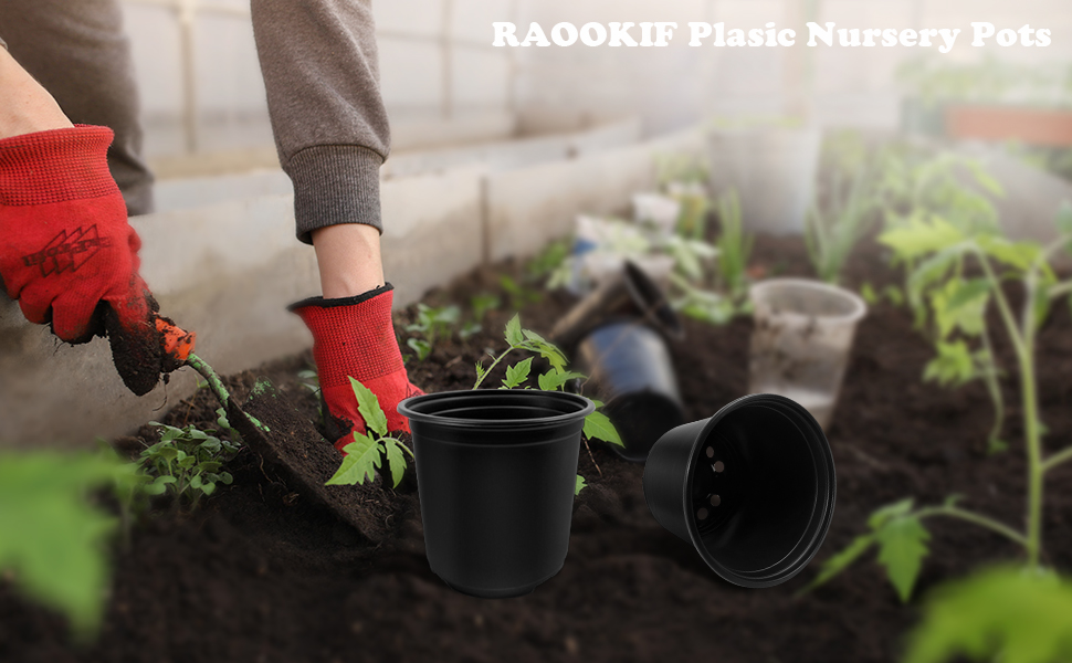 50pcs pots