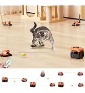 AsFrost Upgraded Interactive Cat Toy for Indoor Cats, Auto/Manual Control DIY Cat Feather Mouse T...