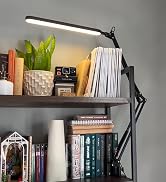 SKYLEO Desk Lamp - Desk Light for 31.5" Tall - 5 Color Modes X 11 Brightness Levels - Adjustable ...