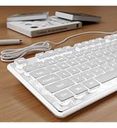 SEUNKWANG Wired Backlit Keyboard with Pudding Keycaps, Quiet Full Size Computer Keyboard White Ba...