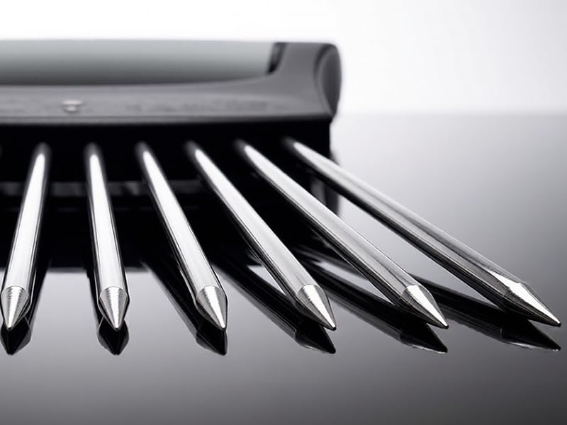 10-Piece Stainless Steel Prongs