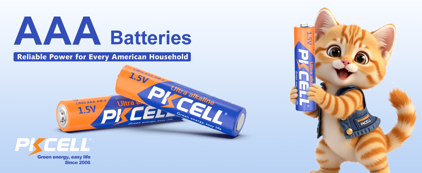 LR03 Triple A Batteries