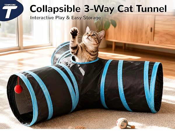 cat tunnel