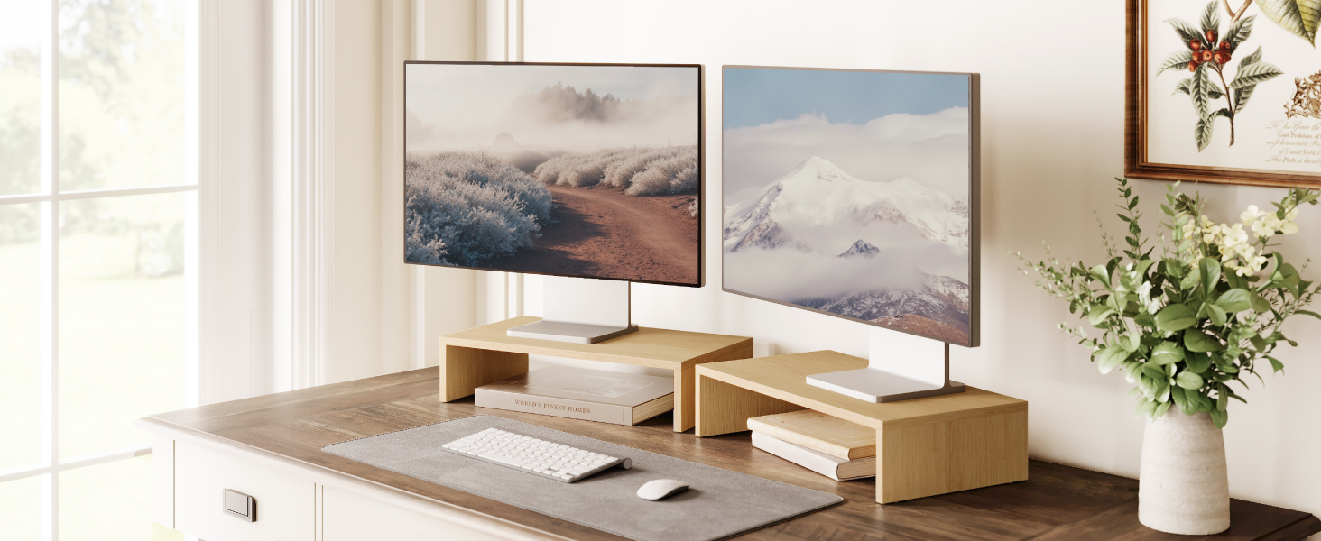 dual monitor stand