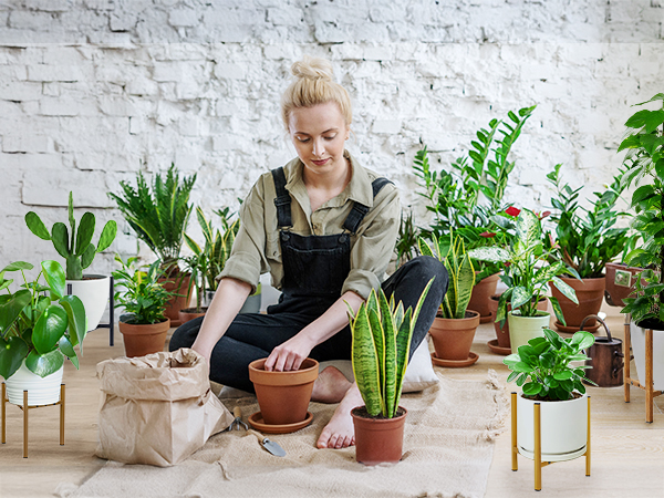 Plant Stand Corners