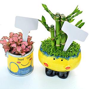 Nursery Garden Labels