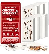 LULUCATCH Cricket Insect Glue Traps - 36 Pack Bug Sticky Traps, Large & Adhesive Spider Scorpion ...