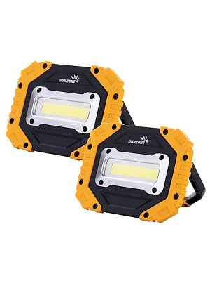 2 PACK WORK LIGHT