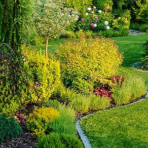 gardening and landscaping, watering plants, garden hose watering, high pressure watering, spraying