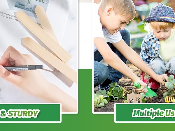 WH0434 50Pcs Wooden Plant Labels