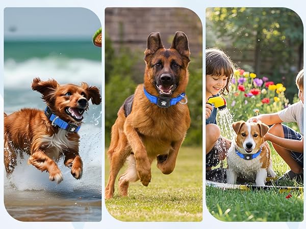 MYIWB Dog Tracking Collar for All Breeds, Waterproof, Durable, Multi-Scene Use