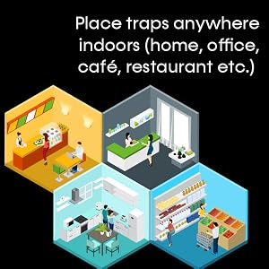 Suitable for Most Indoor Settings